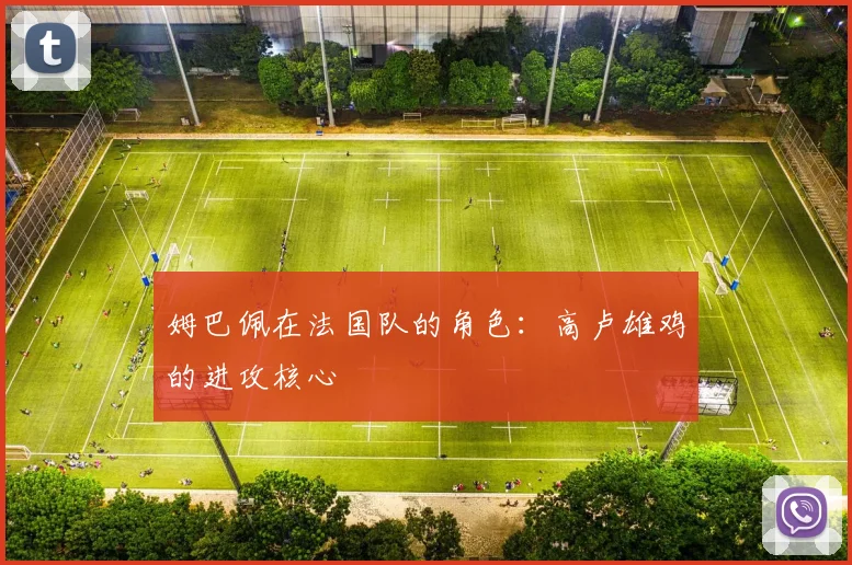 姆巴佩在法国队的角色:高卢雄鸡的进攻核心