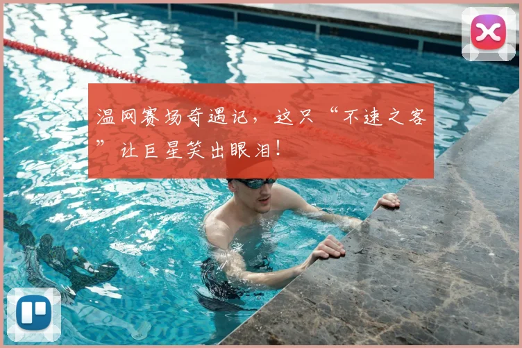 温网赛场奇遇记，这只“不速之客”让巨星笑出眼泪！