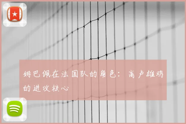 姆巴佩在法国队的角色:高卢雄鸡的进攻核心